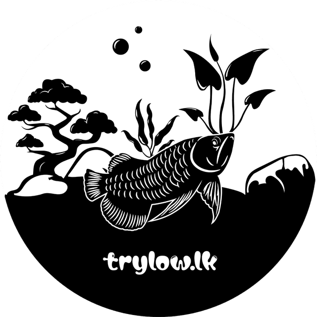 Try Low logo